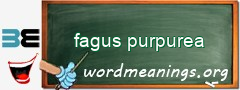 WordMeaning blackboard for fagus purpurea
